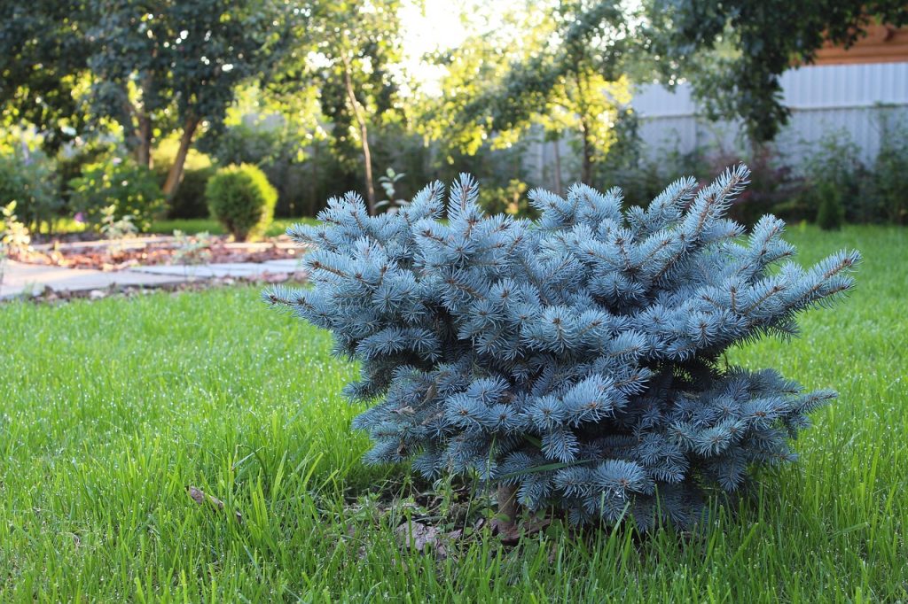 landscape design, improvement, landscaping, landscape design, landscape design, landscaping, landscaping, landscaping, landscaping, landscaping-961676.jpg