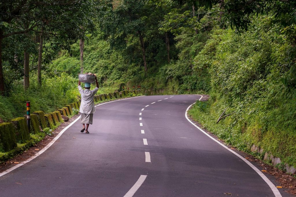 road, forest, countryside, rural, landscape, nature, village, road, road, road, road, road, nature, village, village, village-7260175.jpg